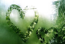 雄鹿客场挫败独行侠，字母哥强势爆发